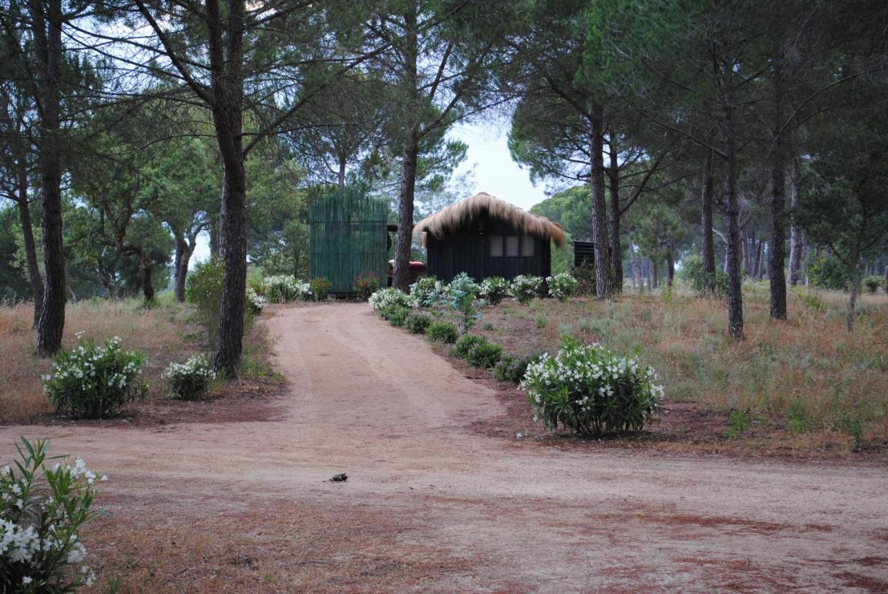 Ying Yang Monte Da Lua Villa Comporta Buitenkant foto