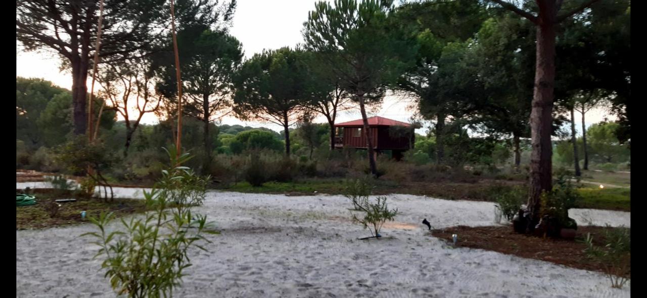 Ying Yang Monte Da Lua Villa Comporta Buitenkant foto