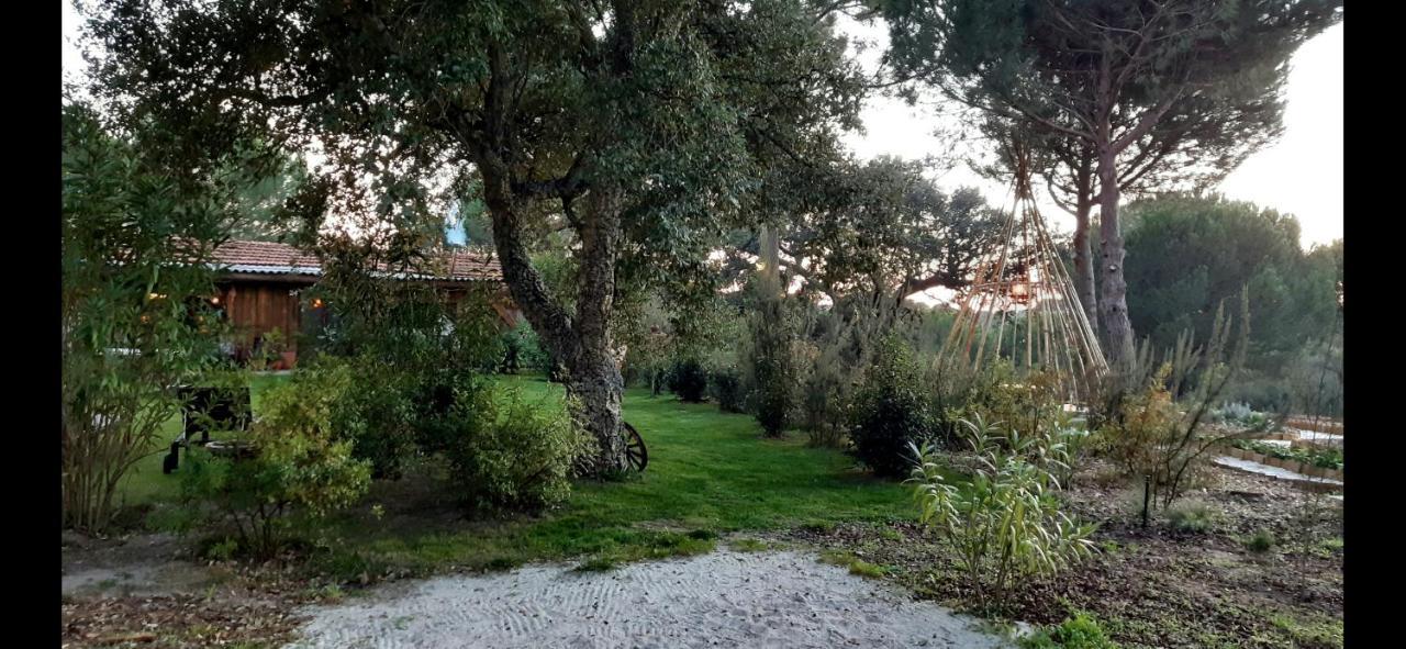 Ying Yang Monte Da Lua Villa Comporta Buitenkant foto